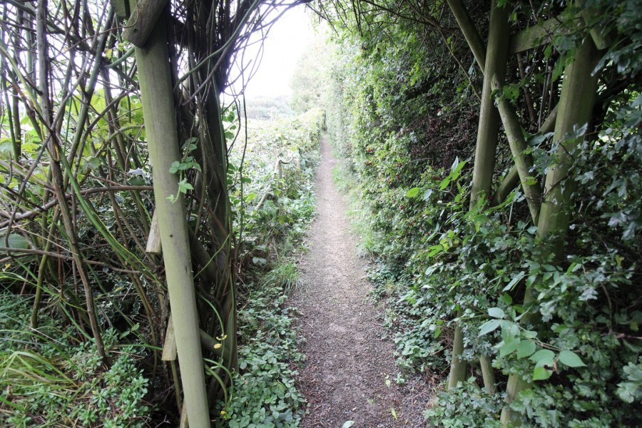 Images for Wilsden, Bradford, West Yorkshire EAID:3030449609 BID:4216801
