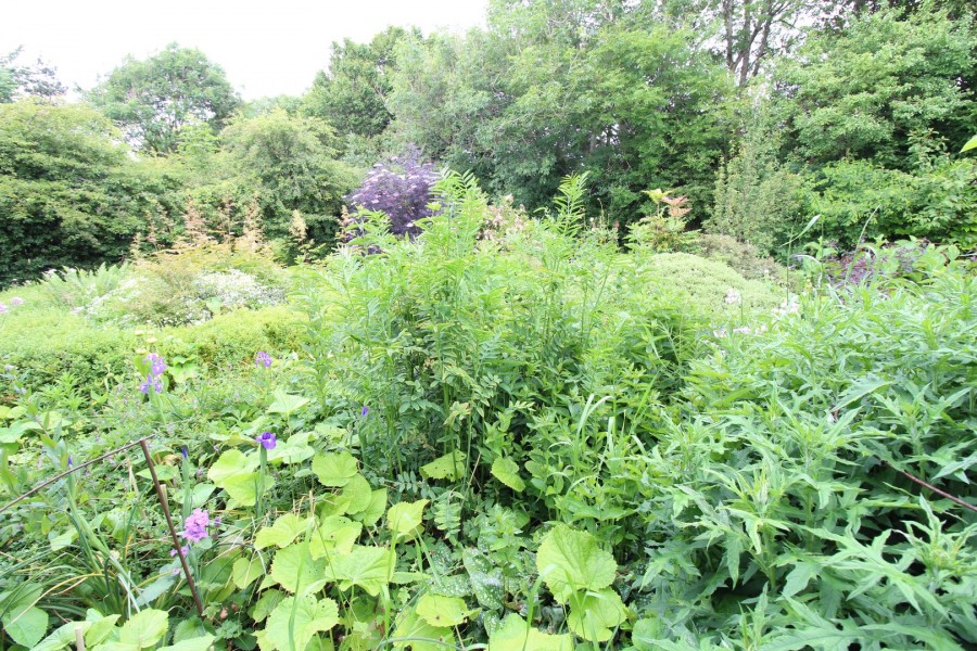 Images for Wilsden, Bradford, West Yorkshire EAID:3030449609 BID:4216801