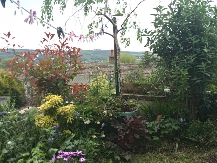 Images for Exley Head View, Keighley, West Yorkshire EAID:3030449609 BID:4216801