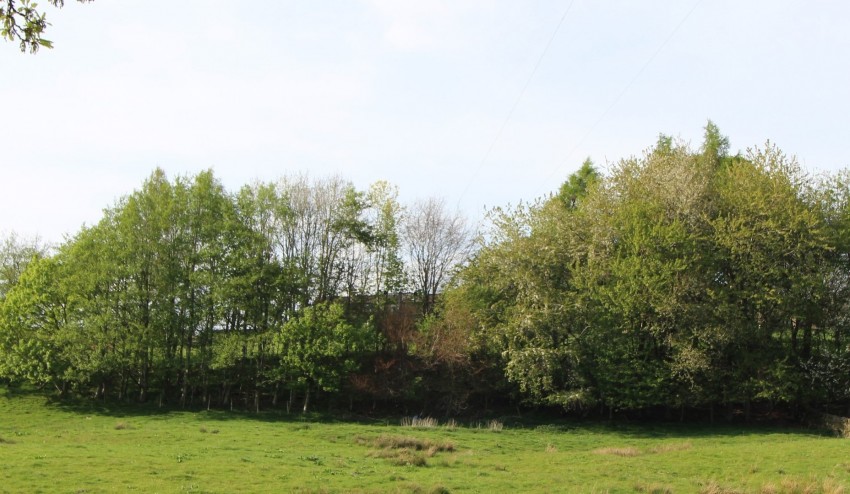 Images for Oakworth, Keighley, West Yorkshire EAID:3030449609 BID:4216801
