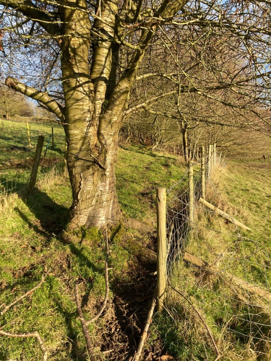Images for Oakworth, Keighley, West Yorkshire EAID:3030449609 BID:4216801