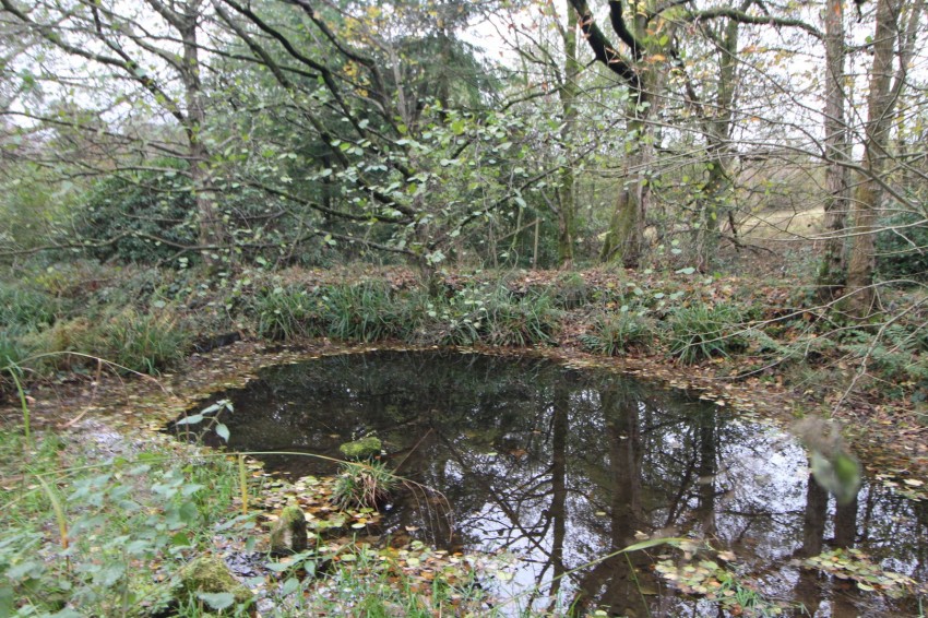 Images for Oxenhope, Keighley, West Yorkshire EAID:3030449609 BID:4216801