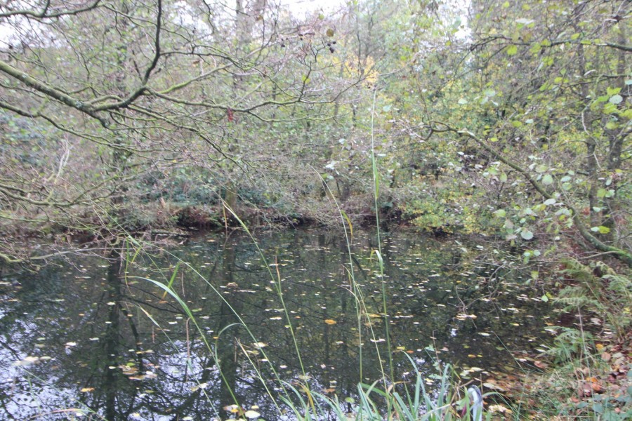 Images for Oxenhope, Keighley, West Yorkshire EAID:3030449609 BID:4216801