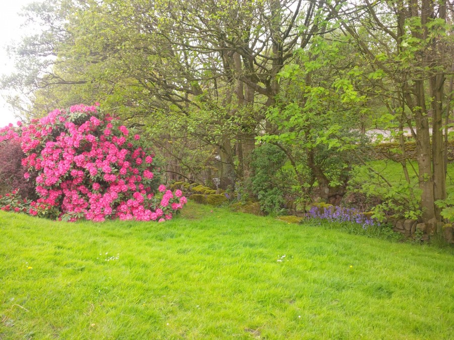 Images for Stanbury, Keighley, West Yorkshire EAID:3030449609 BID:4216801
