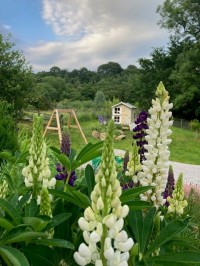 Images for Oxenhope, Keighley, West Yorkshire