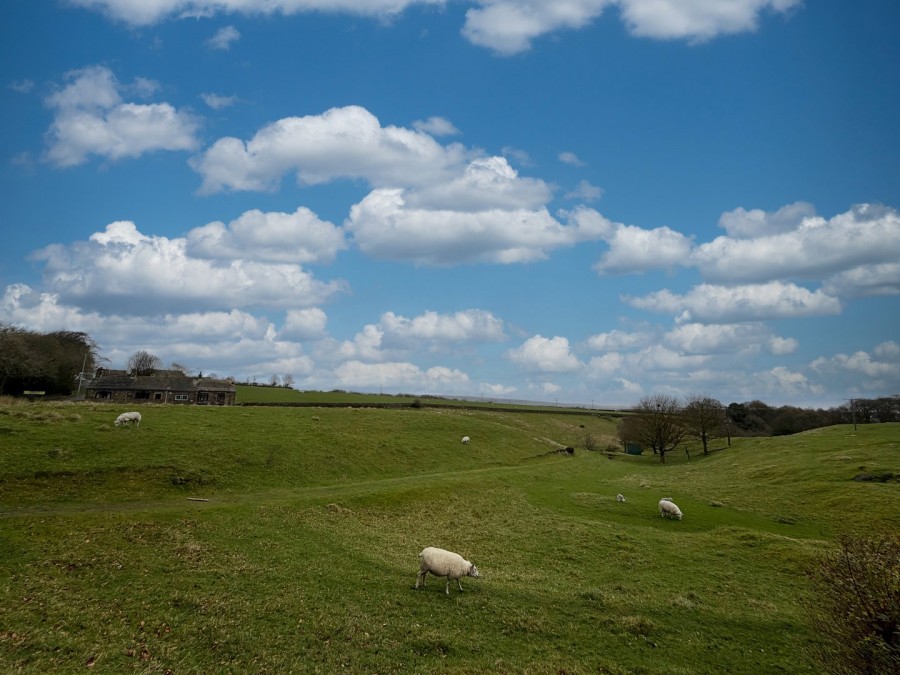 Images for Denholme, Bradford, West Yorkshire EAID:3030449609 BID:4216801