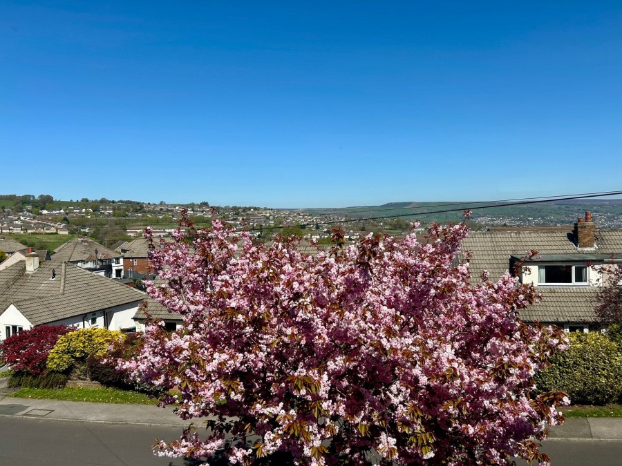 Images for Prospect Mount, Keighley, West Yorkshire EAID:3030449609 BID:4216801